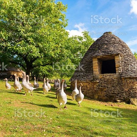 Studio Fontaine D'Amour Sarlat Exterior foto