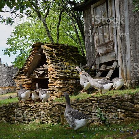 Studio Fontaine D'Amour Sarlat Exterior foto